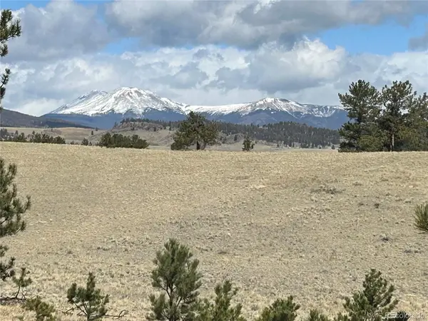517 Brahma, Hartsel, CO 80449
