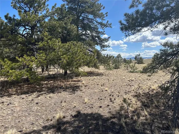 517 Brahma, Hartsel, CO 80449