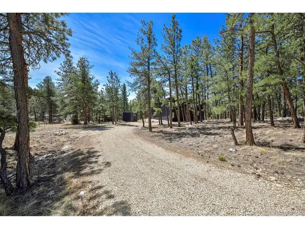 42 Hannah, Westcliffe, CO 81252