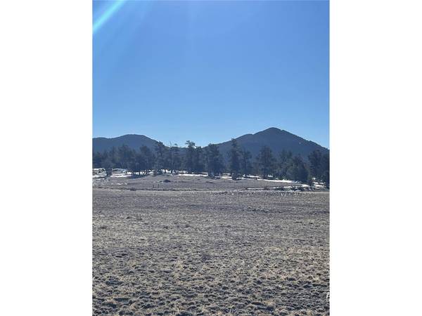 262 Grand Teton, Hartsel, CO 80449