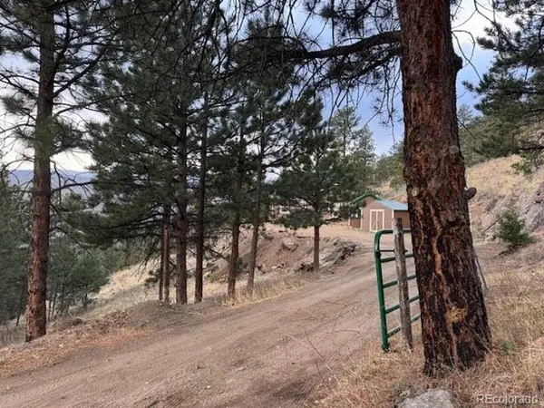 1049 Spencer Mountain, Bellvue, CO 80512