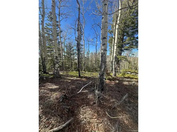 6744 Starkweather, San Luis, CO 81152
