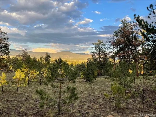364 Muir Woods, Hartsel, CO 80449