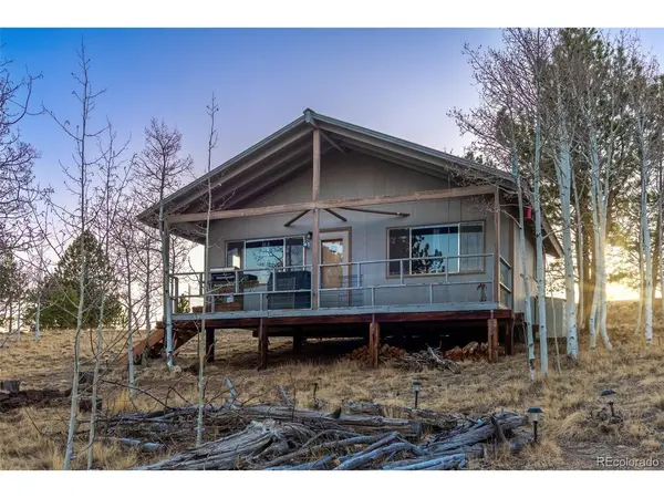 81 Pistol, Como, CO 80432