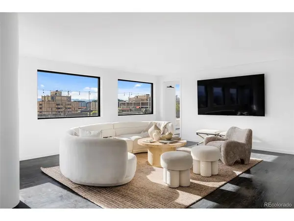 669 N Washington #901, Denver, CO 80203