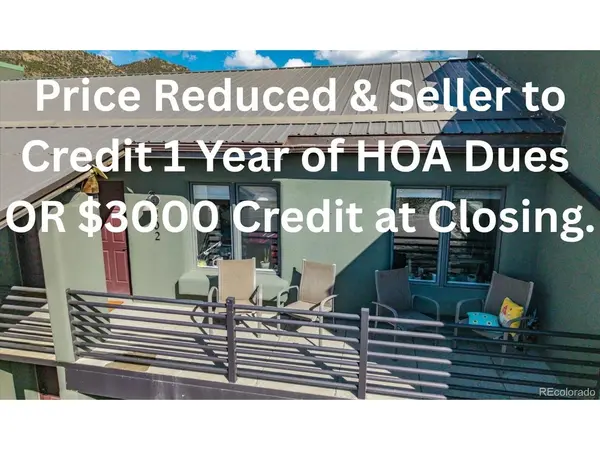 623 Cedar #B202, Buena Vista, CO 81211