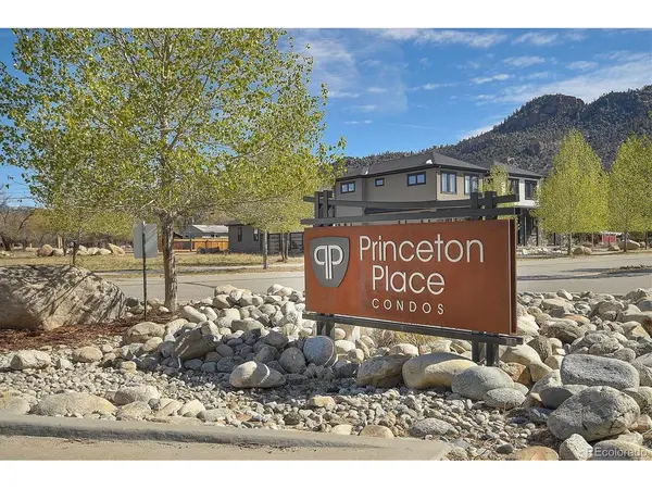623 Cedar #B202, Buena Vista, CO 81211