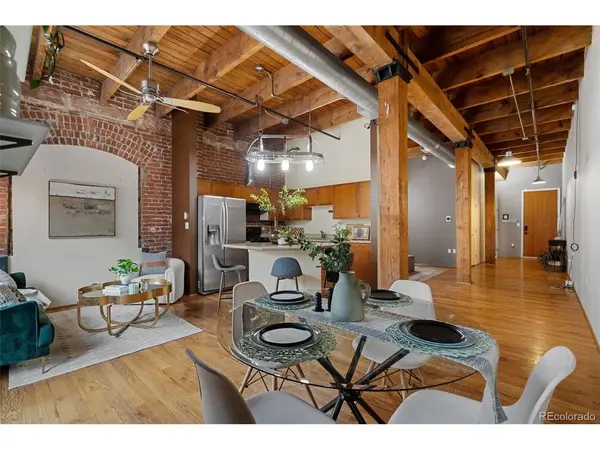 2960 Inca #308, Denver, CO 80202