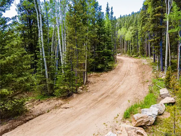 Address not disclosed, Black Hawk, CO 80422