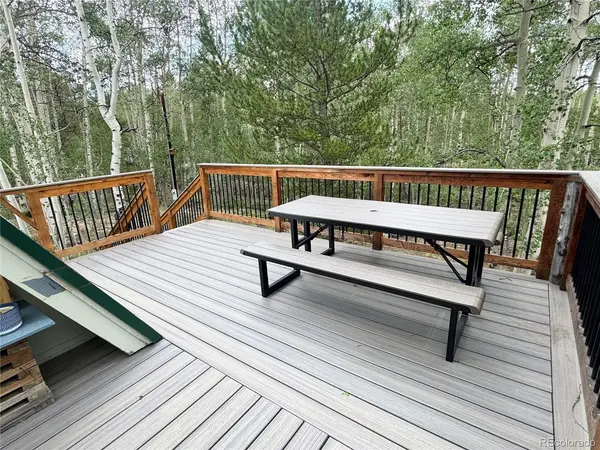206 Empire, Leadville, CO 80461