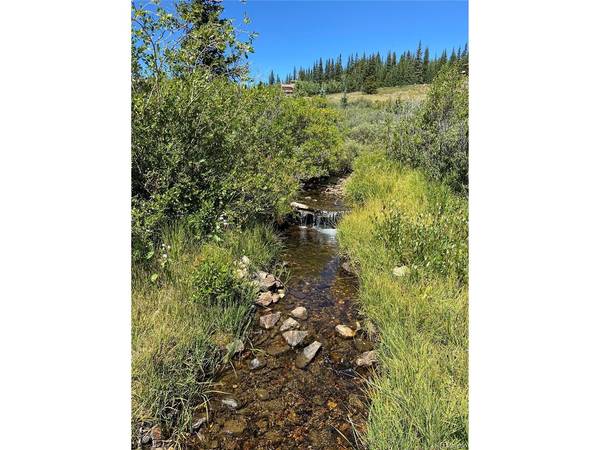 1180 Zebulon, Alma, CO 80420