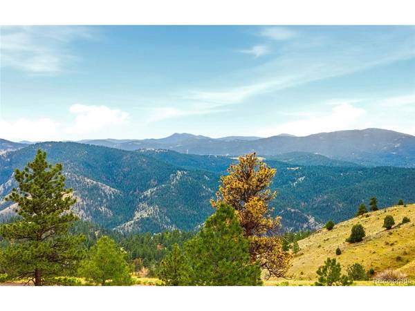 1952 Montane, Golden, CO 80401