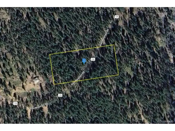 1520 Alps Mountain, Idaho Springs, CO 80452