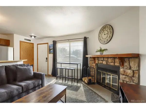 4266 S Eldridge #101, Morrison, CO 80465