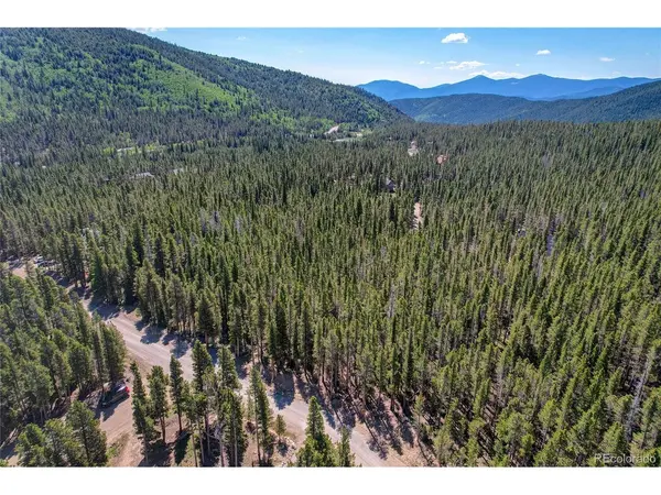 172 Lower Forest, Idaho Springs, CO 80452