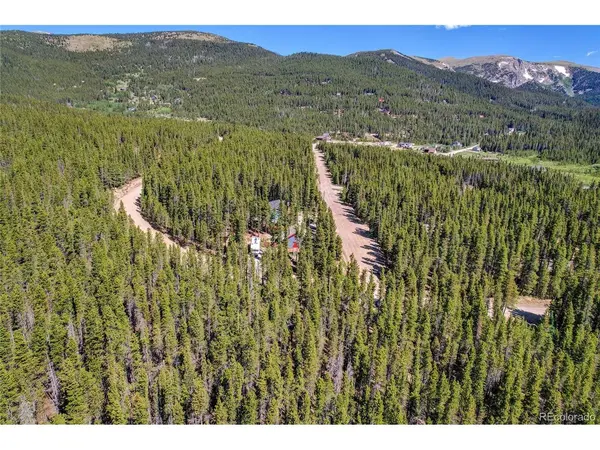 172 Lower Forest, Idaho Springs, CO 80452