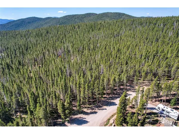 172 Lower Forest, Idaho Springs, CO 80452