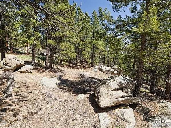 213 Rocky Knob, Nederland, CO 80466