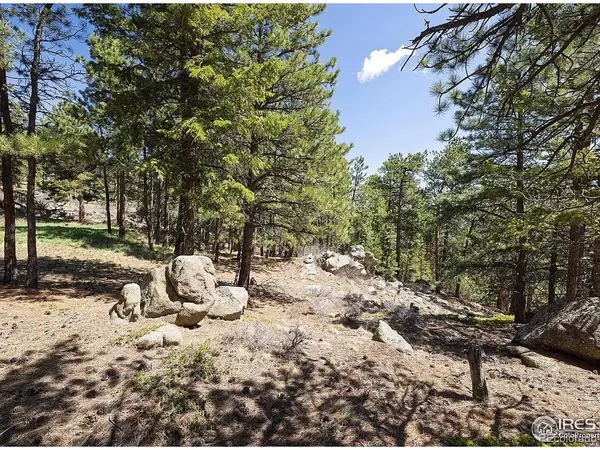 213 Rocky Knob, Nederland, CO 80466
