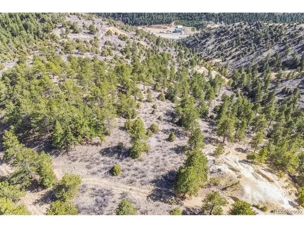 Wild Wagoner Tr, Dumont, CO 80452