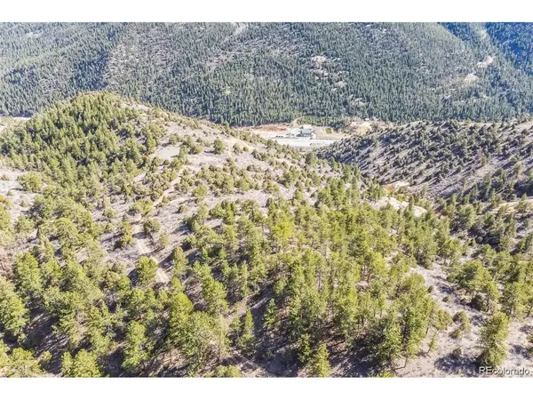 Wild Wagoner Tr, Dumont, CO 80452