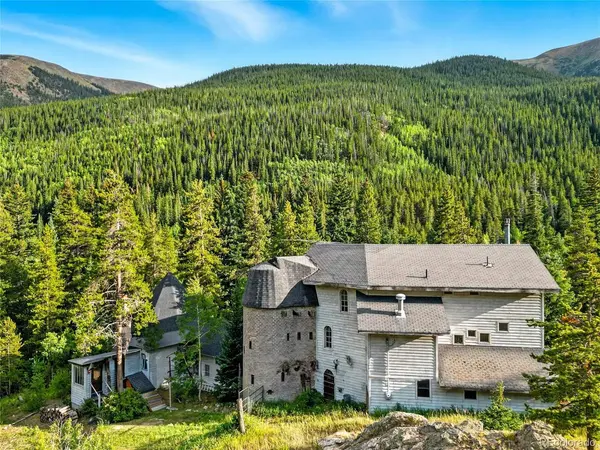 1493 Silver Valley, Silver Plume, CO 80476