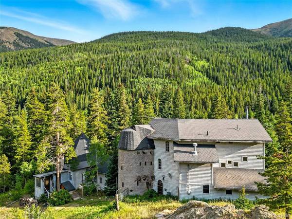1493 Silver Valley, Silver Plume, CO 80476
