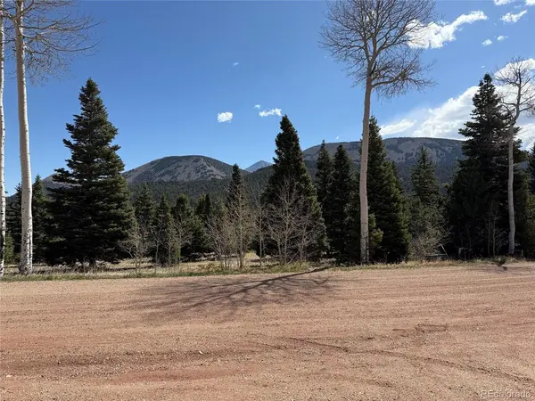 44 Valley Vista #38, Cuchara, CO 81055