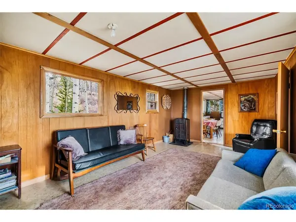 26 Meadow, Fairplay, CO 80440