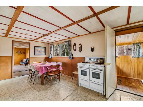 26 Meadow, Fairplay, CO 80440