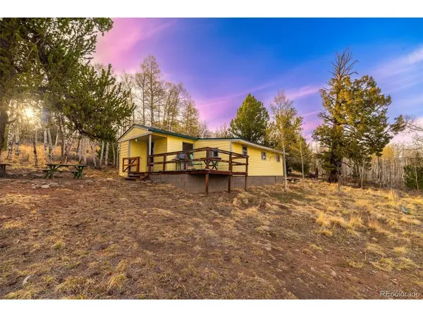 26 Meadow, Fairplay, CO 80440