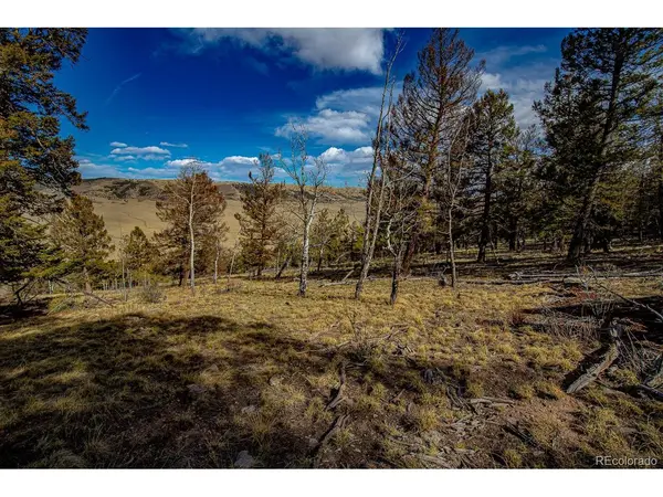 5302 Middle Fork, Fairplay, CO 80440
