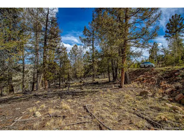 5302 Middle Fork, Fairplay, CO 80440