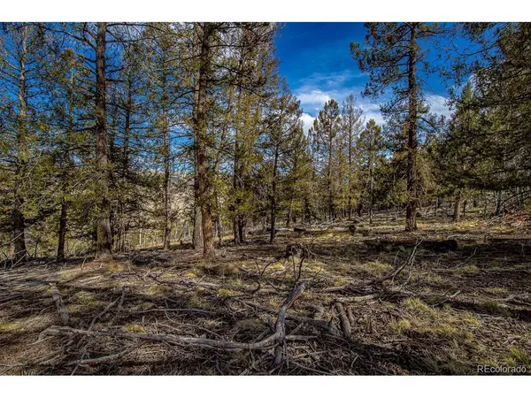 5302 Middle Fork, Fairplay, CO 80440