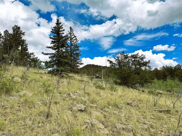 Address not disclosed, Como, CO 80432
