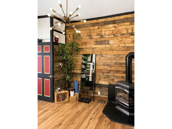 225 E 8th, Leadville, CO 80461