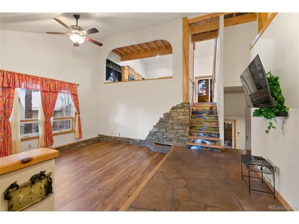 311 Panther, Woodland Park, CO 80863