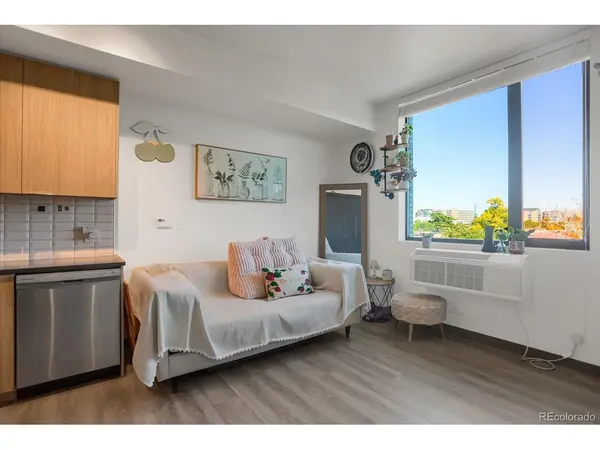 603 Inca #423, Denver, CO 80204