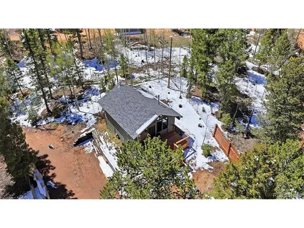747 Trout Haven, Florissant, CO 80816