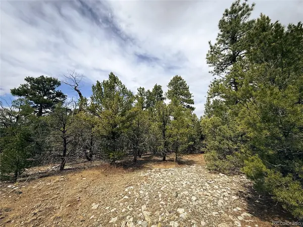 76 Mill Run, Mosca, CO 81146