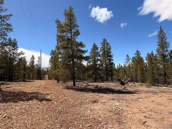 104 Spruce, Twin Lakes, CO 81251
