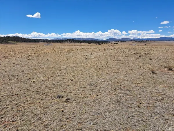 8313 Black Kettle, Hartsel, CO 80449