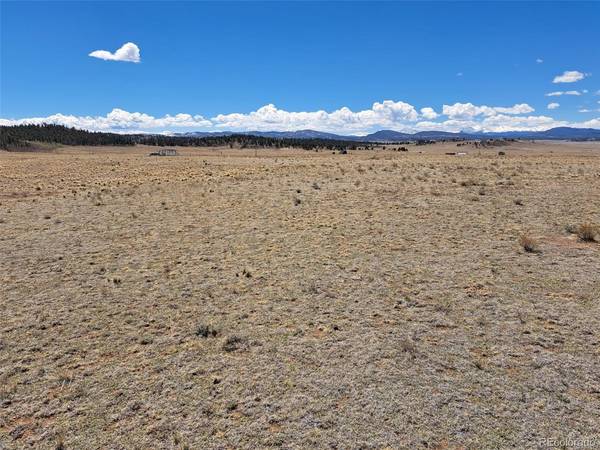 8313 Black Kettle, Hartsel, CO 80449