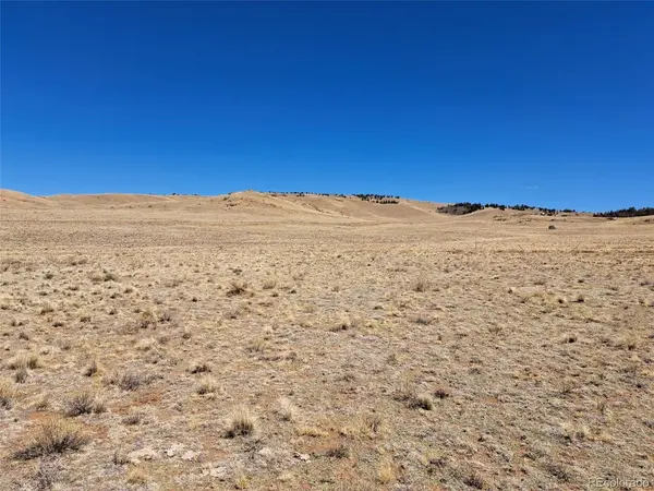 8313 Black Kettle, Hartsel, CO 80449