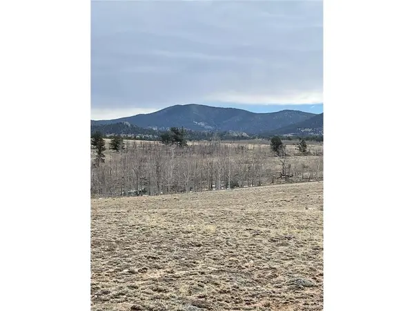 148 Grand Teton, Hartsel, CO 80449