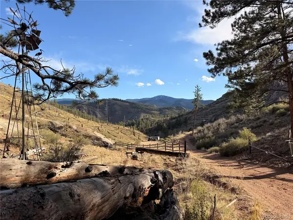 16280 Cochise, Pine, CO 80470