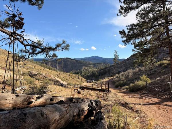 16280 Cochise, Pine, CO 80470