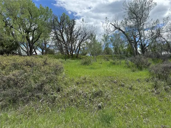 W Ryus, La Veta, CO 81055