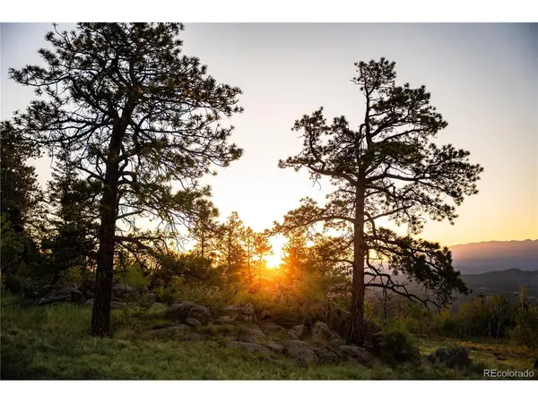 404 Valley, Florissant, CO 80816