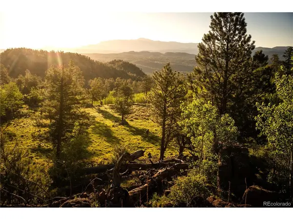 404 Valley, Florissant, CO 80816